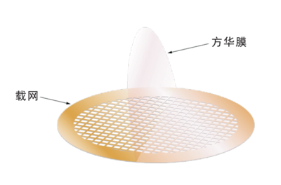 无碳芳华支持膜-钼